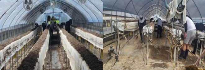 (사진제공=대전보호관찰소)