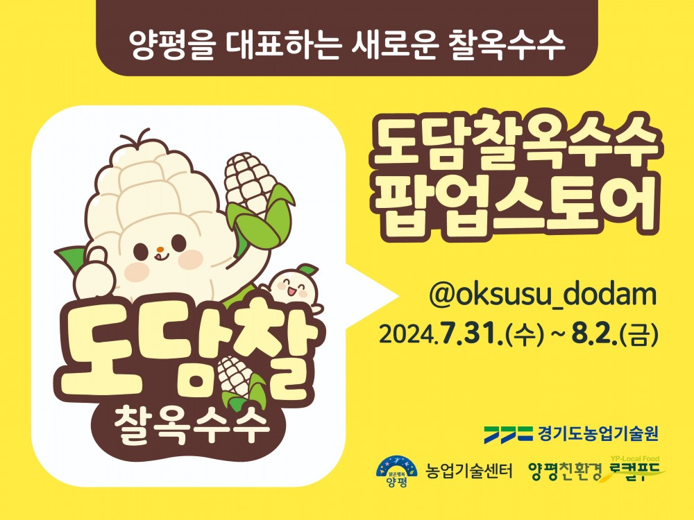 도담찰옥수수 팝업스토어 포스터