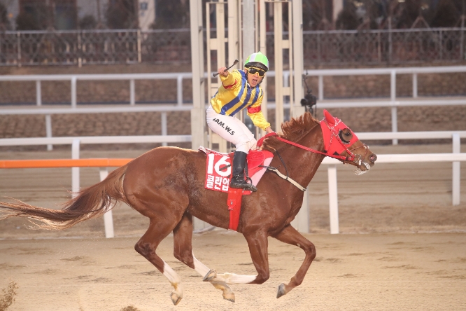 레전드 명마 '클린업조이', 다섯번째 명예경주마 선정