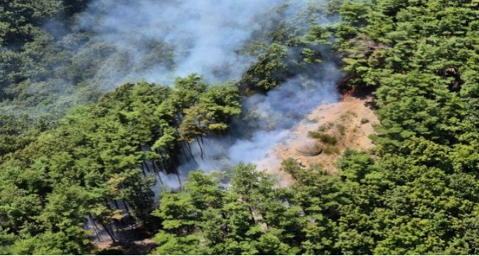 (사진제공=산림청)