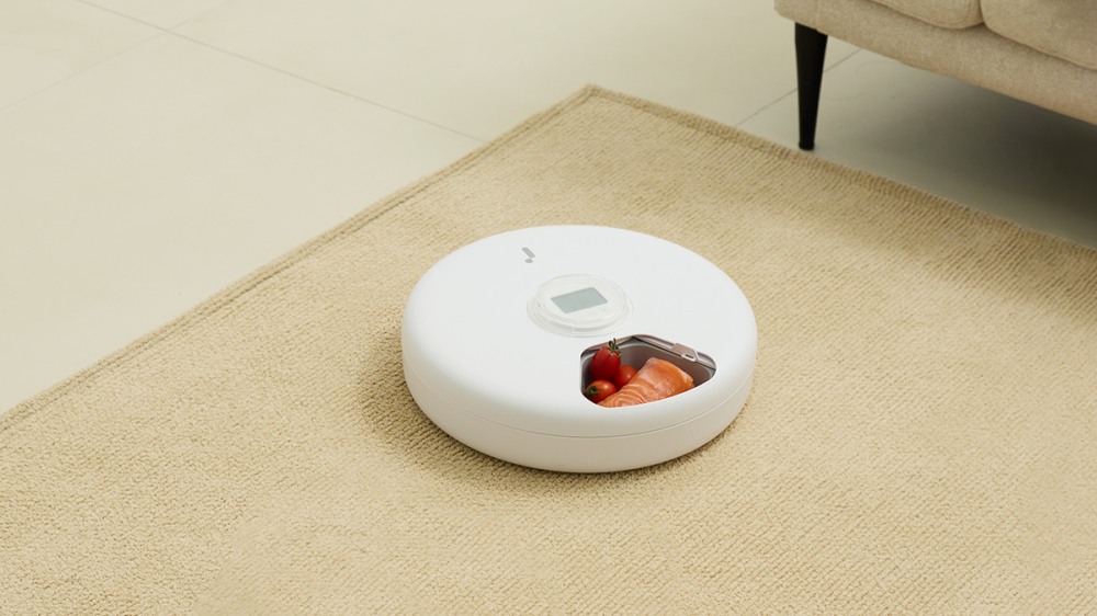 주연테크 반려동물 올인원 자동급식기, 와디즈 펀딩 오픈한다