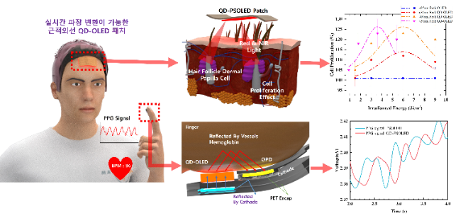 모발 증식 및 심박수 측정용 고유연 QD-OLED 패치 플랫폼. 사진=한국연구재단