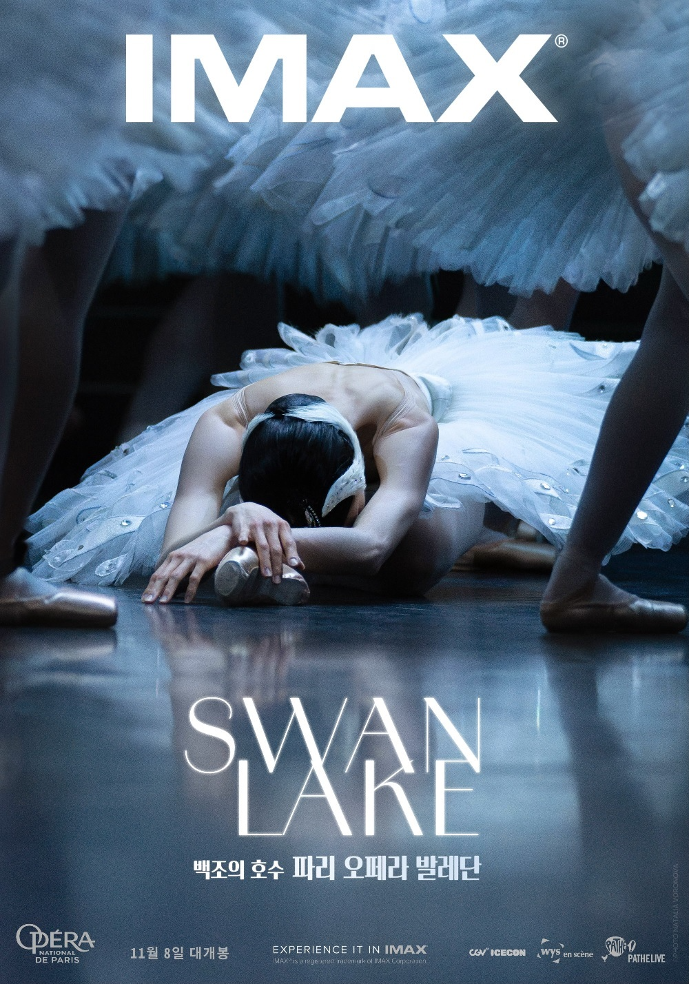 CGV 발레 공연 ‘백조의 호수’ IMAX 상영