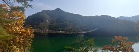 제천시 공무원 '옥순봉 출렁다리' 입장료 횡령 의혹... 시 경찰 조사 의뢰