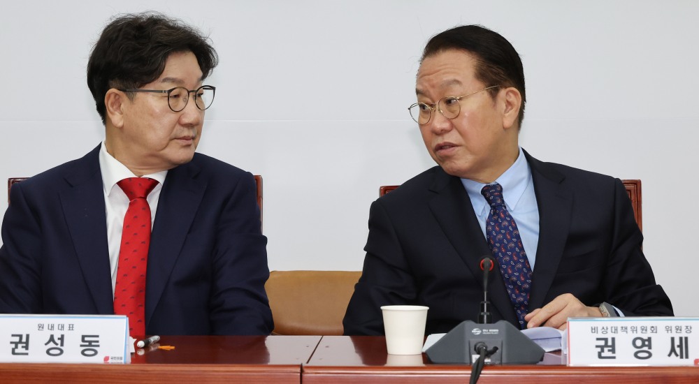 대화하는 권영세 비대위원장-권성동 원내대표(사진=연합뉴스)