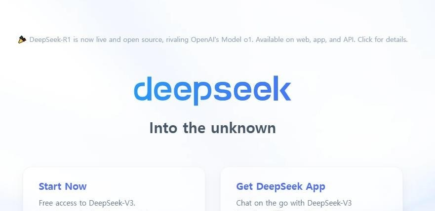 딥시크 안내 페이지