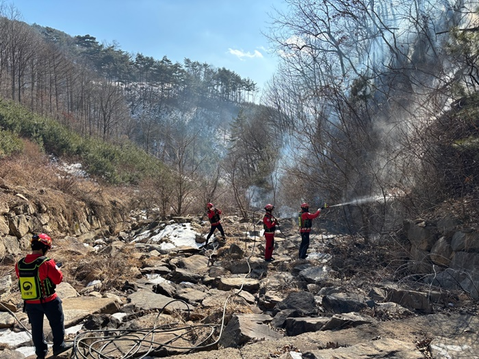 (사진제공=산림청)