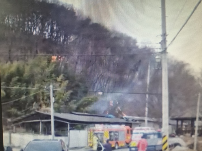 (사진제공=산림청)