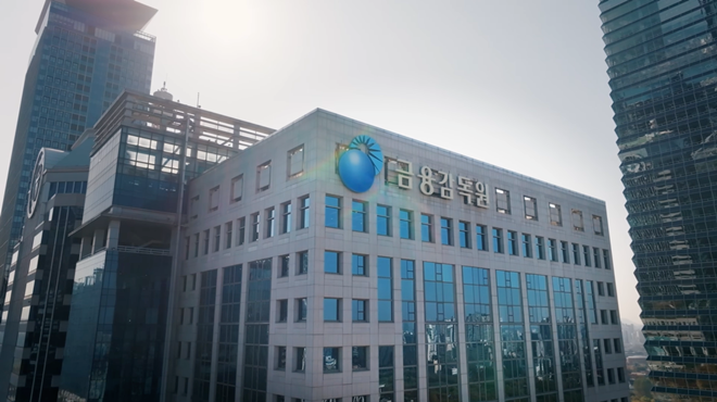 (출처 금융감독원)