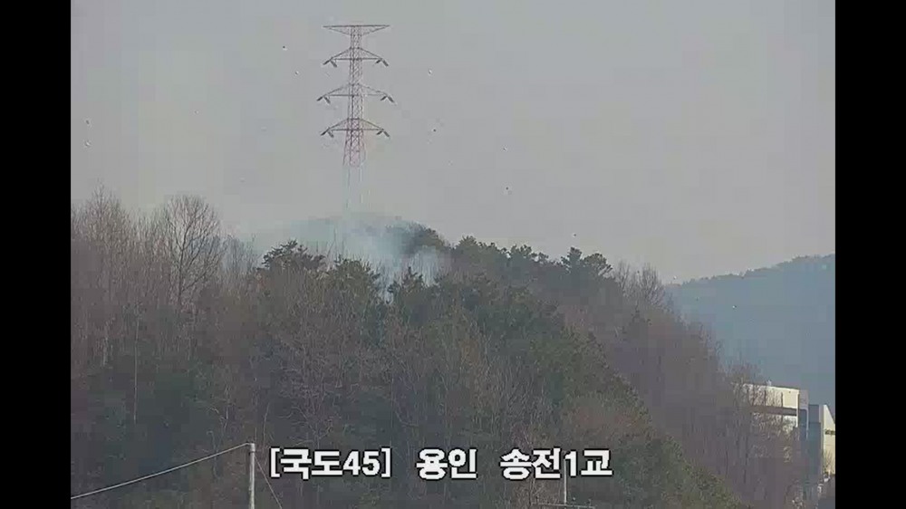 (사진제공=산림청)