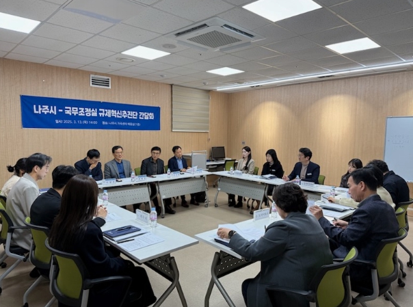 나주시는 13일 국무조정실 규제혁신추진단 간담회를 개최했다. (사진제공-나주시)