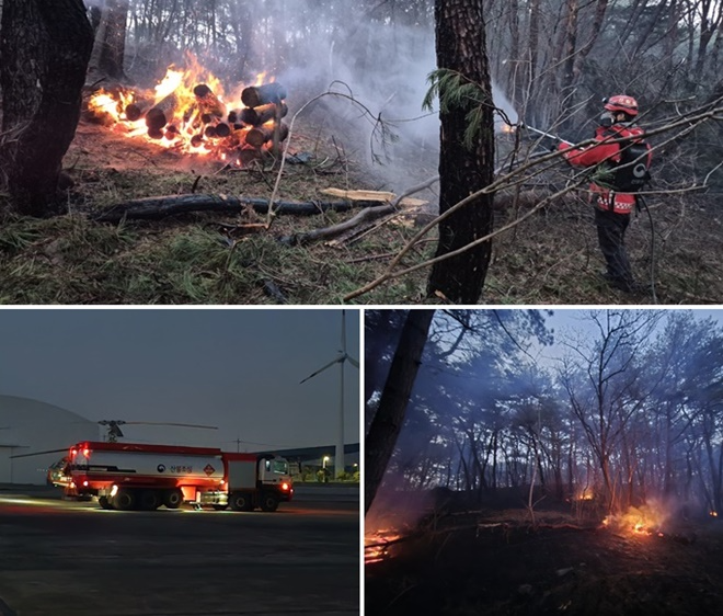(사진제공=산림청)
