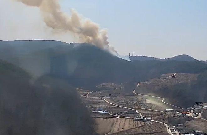 (사진제공=산림청)