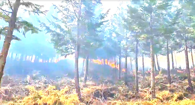 (제공=울산소방본부)