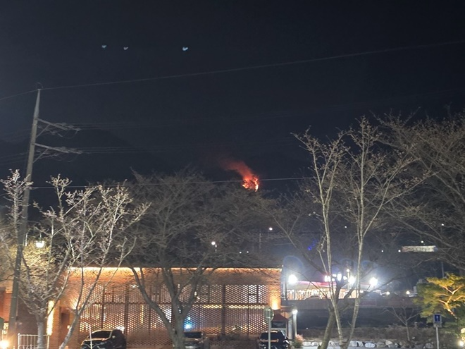 (사진제공=산림청)