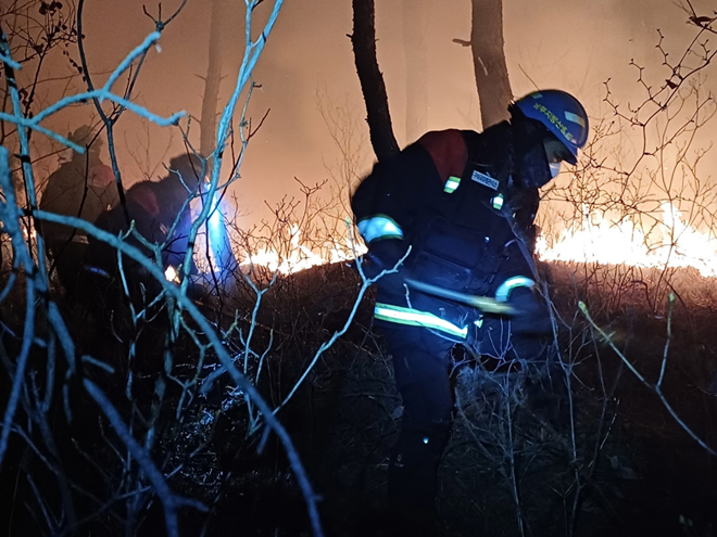 (제공=산림청) 현장과 무관.