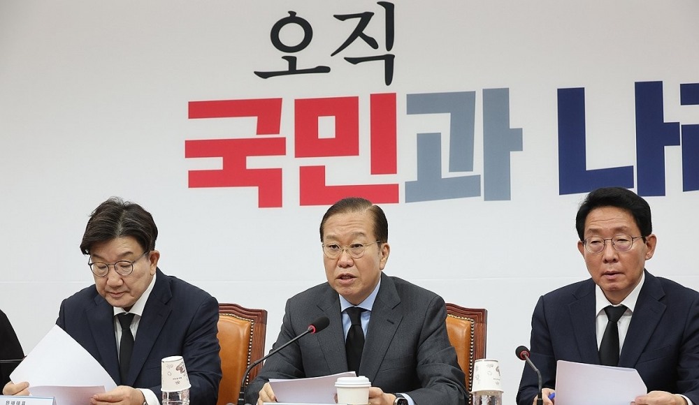 발언하는 권영세 비상대책위원장(사진=연합뉴스)