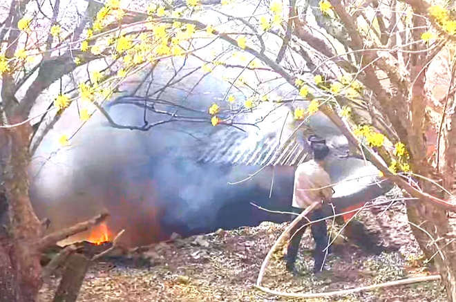 (제공=부산소방재난본부)