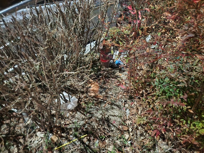 굴포천역 8번 출구 주변 화단 곳곳이 쓰레기가 버려져 있다.