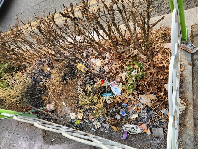 굴포천역 8번 출구 주변 화단 곳곳이 쓰레기가 버려져 있다.