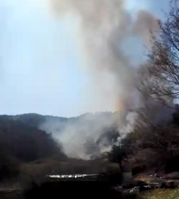 (사진제공=산림청)