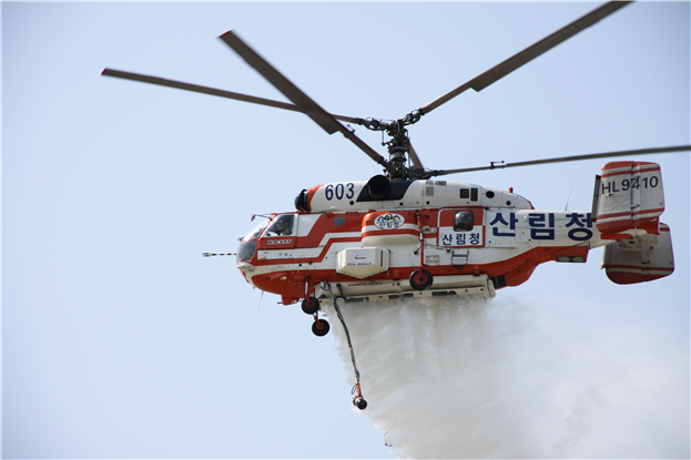 (사진제공=산림청)