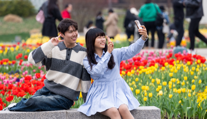 에버랜드, 매화·벚꽃·튤립 등 봄꽃 만발..."이번 주말 벚꽃 절정"