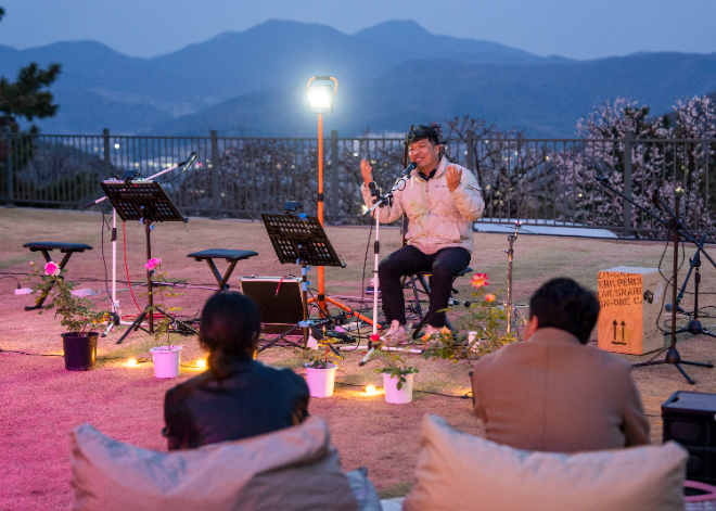 에버랜드, 매화·벚꽃·튤립 등 봄꽃 만발..."이번 주말 벚꽃 절정"