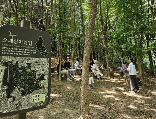 지난해 진행한 숲 태교 교실 사진