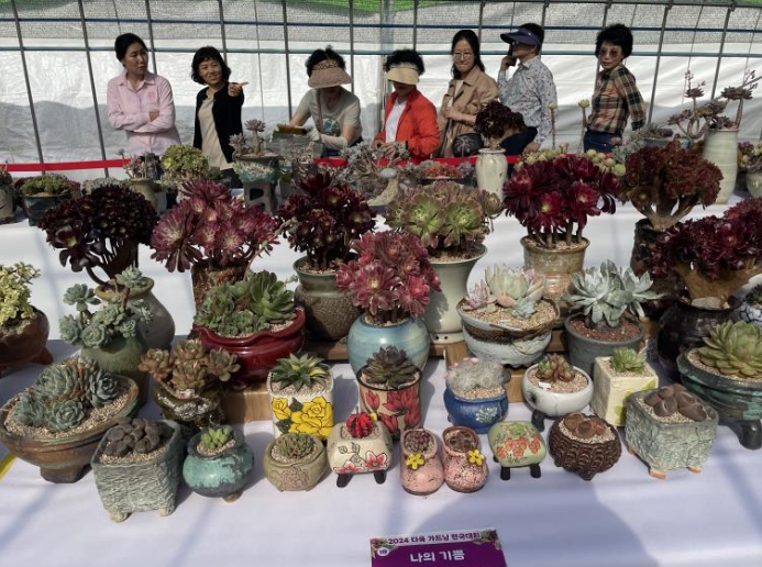 2024 화순 고인돌 봄꽃 축제' 다육가드닝 현장 모습