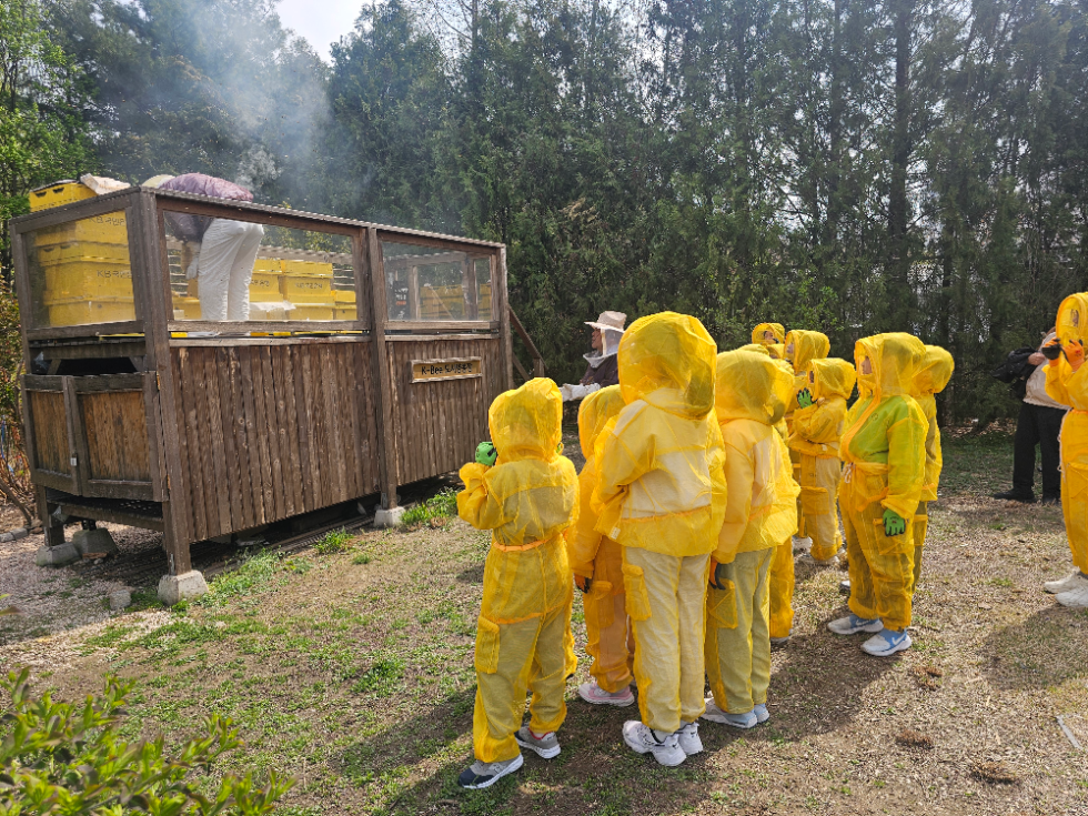 KB국민은행, 서울숲에서 어린이 꿀벌 체험 ‘안녕, 꿀벌’ 프로그램 실시
