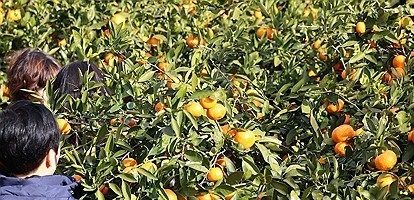 자료사진=연합뉴스