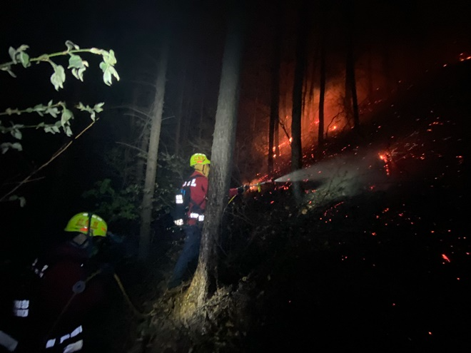(사진제공=산림청)