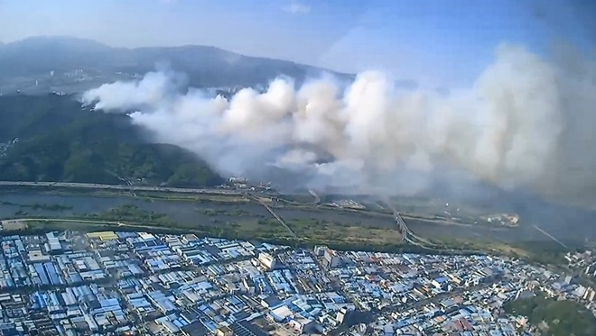 (사진제공=산림청)