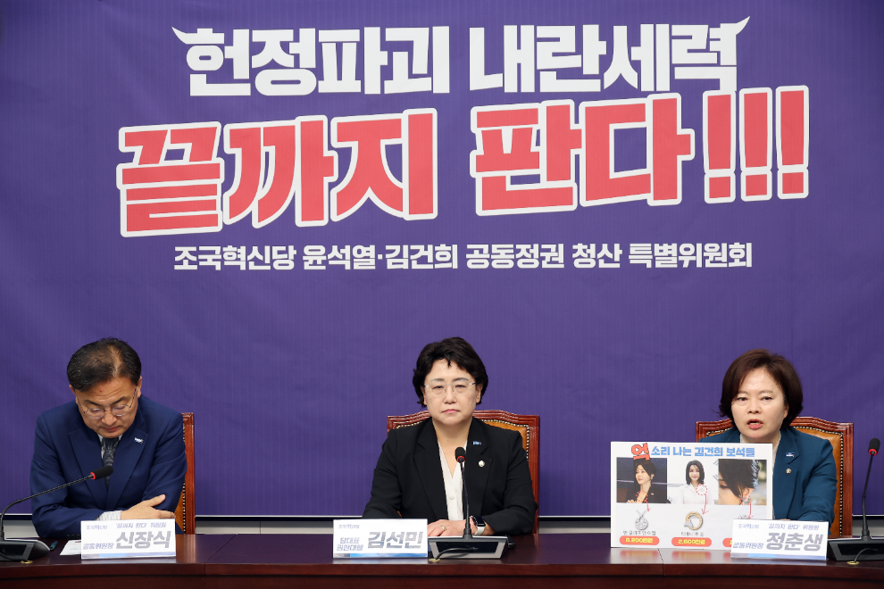 발언하는 정춘생 공동위원장(사진=연합뉴스)