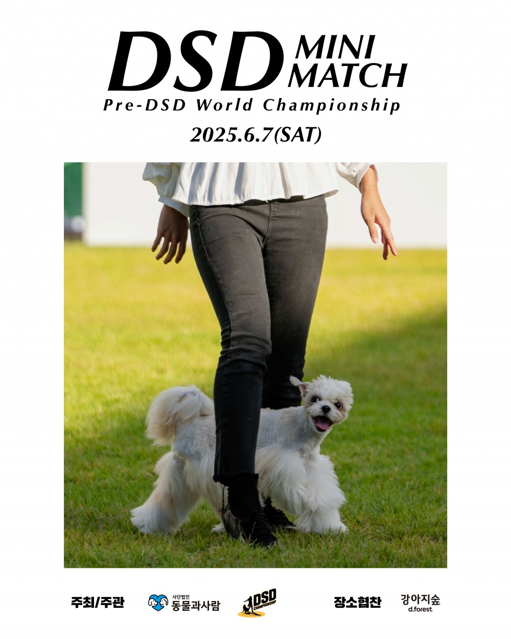 도그스포츠댄스 대회 ‘DSD 미니 매치’, 내달 7일 강아지숲서 열어