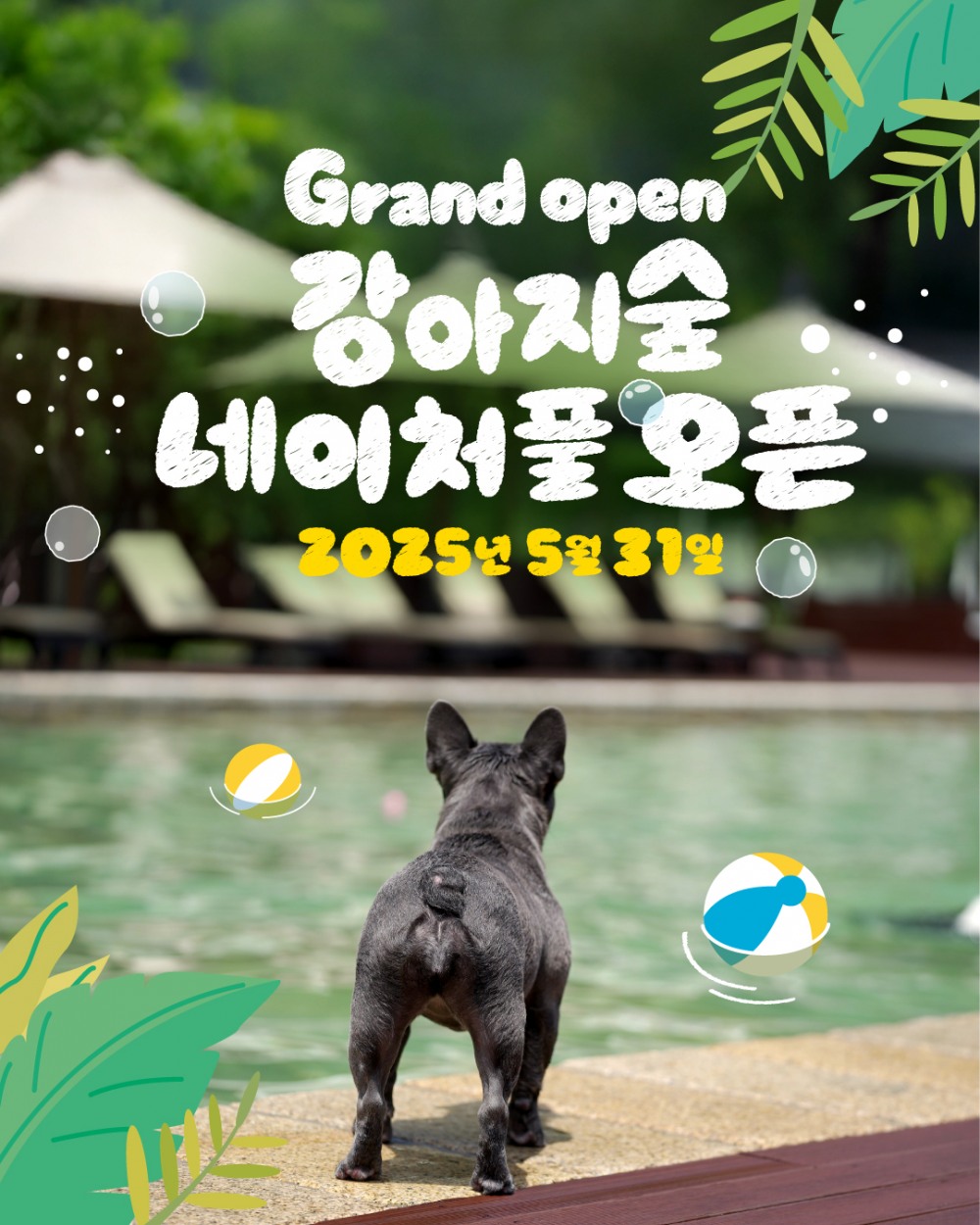 더존비앤씨티 강아지 동반 수영장 ‘네이처풀’, 오픈 예고