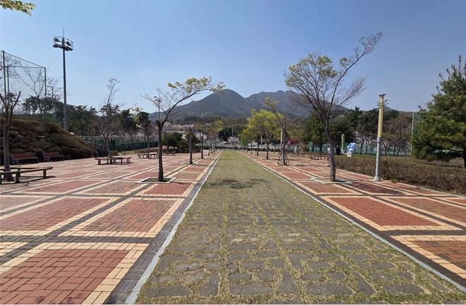 기장군이 도시숲 조성을 주친하고 있는 월드컵빌리지 일원 부지.(제공=부산 기장군)
