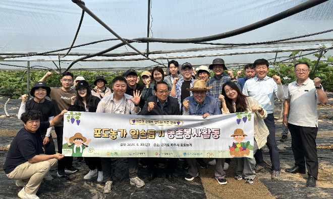 화우·바른·동인, 포도농가 일손 돕기 봉사활동 함께 진행