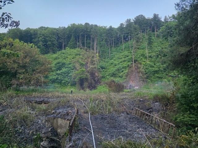 (사진제공=산림청)