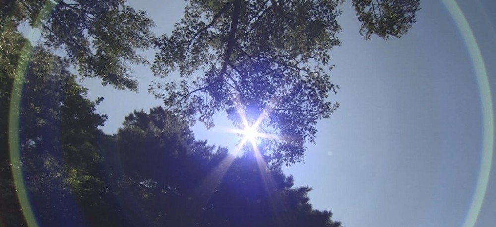 폭염(사진=연합뉴스) /기사와 무관