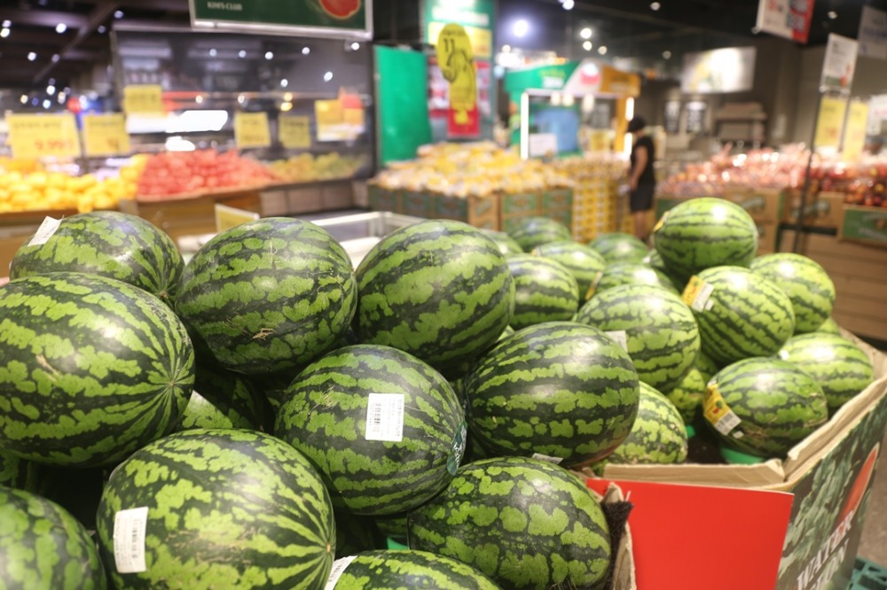이랜드리테일 킴스클럽, '음성·고창 수박' 직송 공급 시작