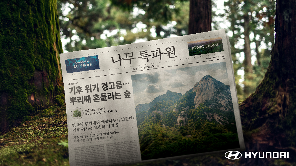 현대자동차, 칸 광고제 3관왕 주인공 AI기반 CSR 홍보 캠페인 ‘나무 특파원’ 공개.(사진=현대자동차)