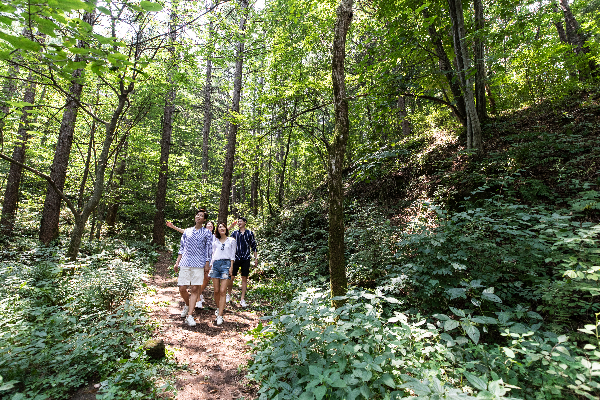 휘닉스 호텔앤드리조트, ‘MEMBER’S DAY’ 평창 휘닉스 파크에서 진행