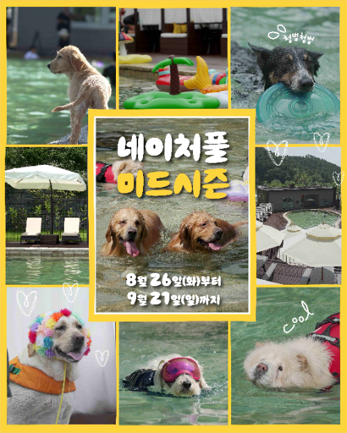 강아지숲 ‘네이처풀 미드시즌’ 사전 예매 열어