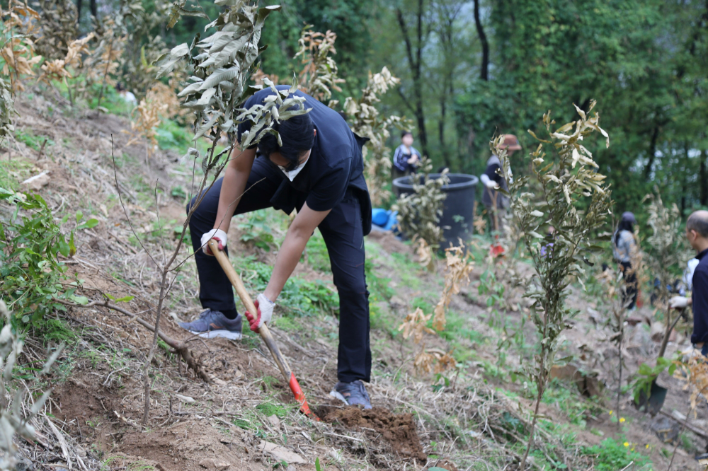 DL이앤씨 직원들이 서울 마포구 노을공원을 찾아 도토리 묘목을 심고 있다.(사진=DL이앤씨)