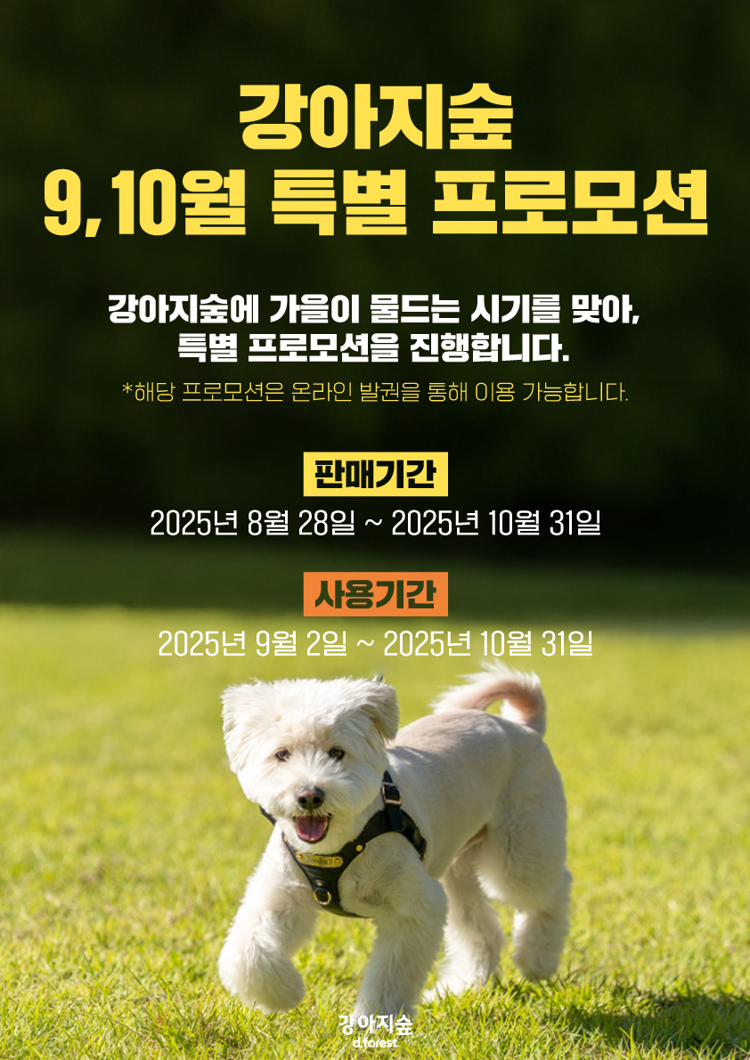 강아지숲, 10월 31일까지 ‘특별 프로모션’ 진행