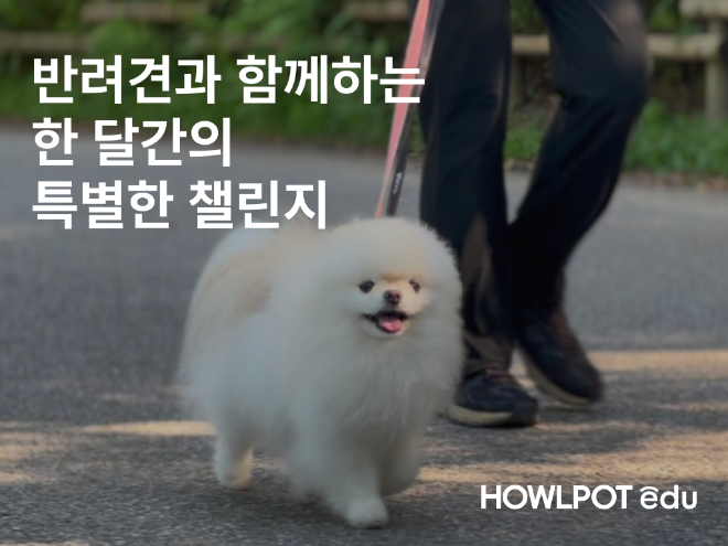 하울팟, ‘반려견과 함께하는 한 달간의 특별한 챌린지’ 진행