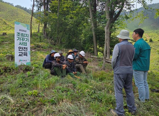 임실군, 2025년 조림지 가꾸기 사업 본격 추진
