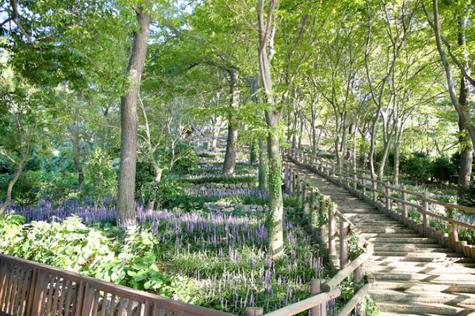 백수해안도로 절벽정원